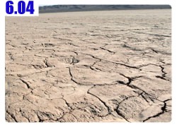 The fossil of the lake