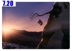 Takeshi Kitano Border