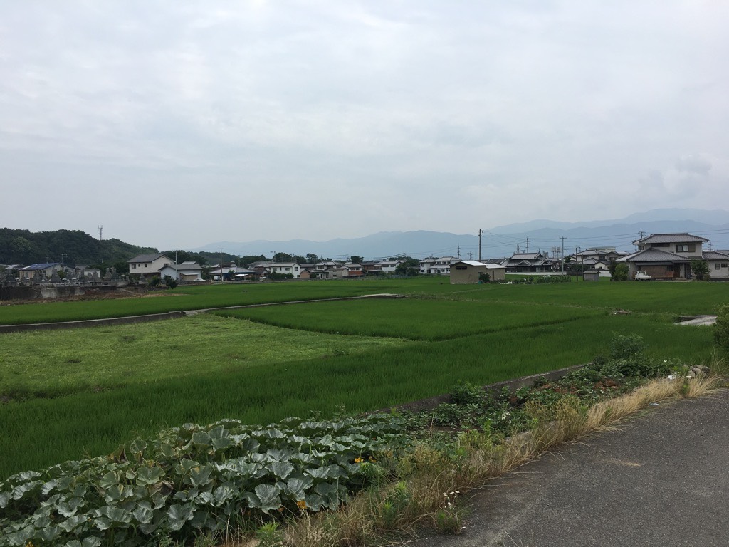 IMG 5845