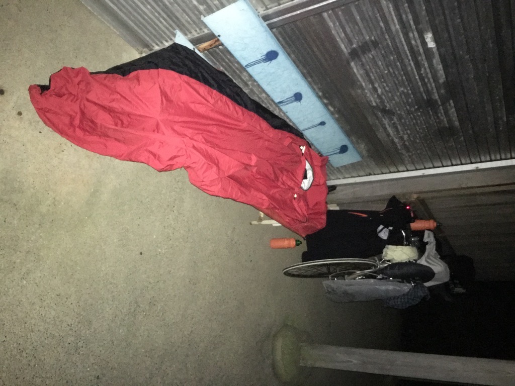 IMG 6504
