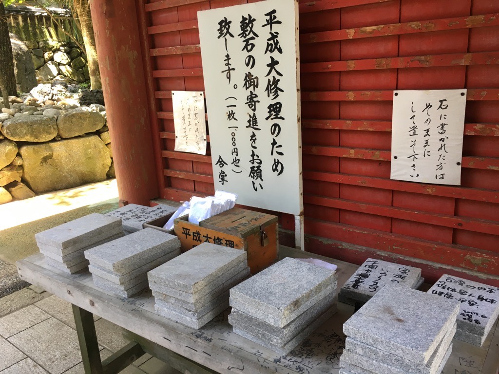 IMG 7055