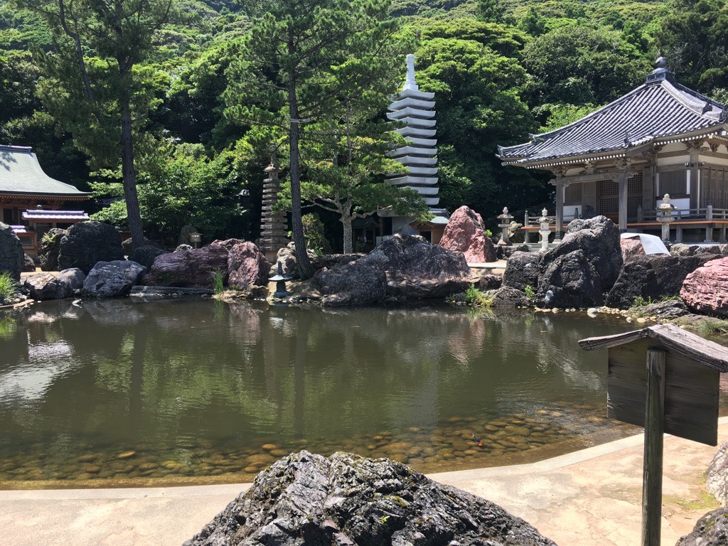 IMG 7058