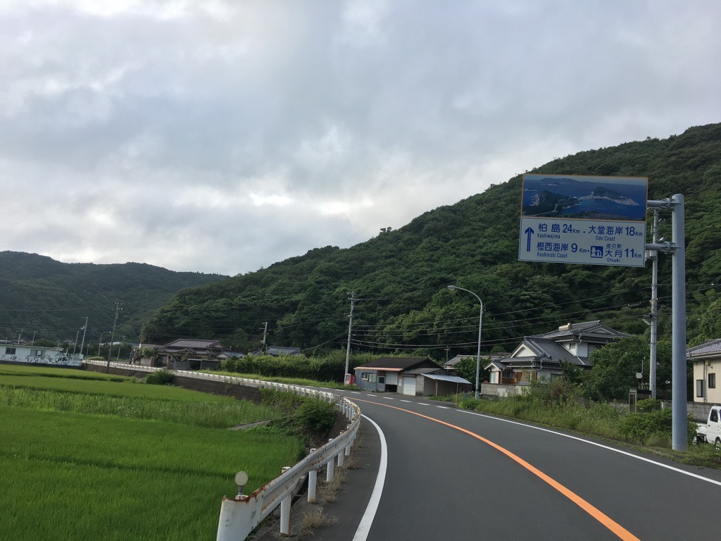 IMG 7098