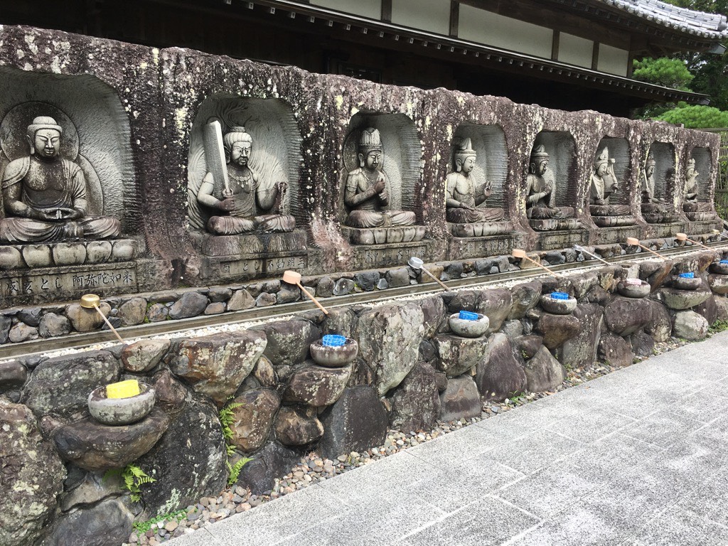 IMG 7159