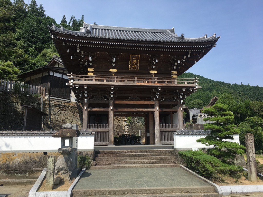 IMG 7207