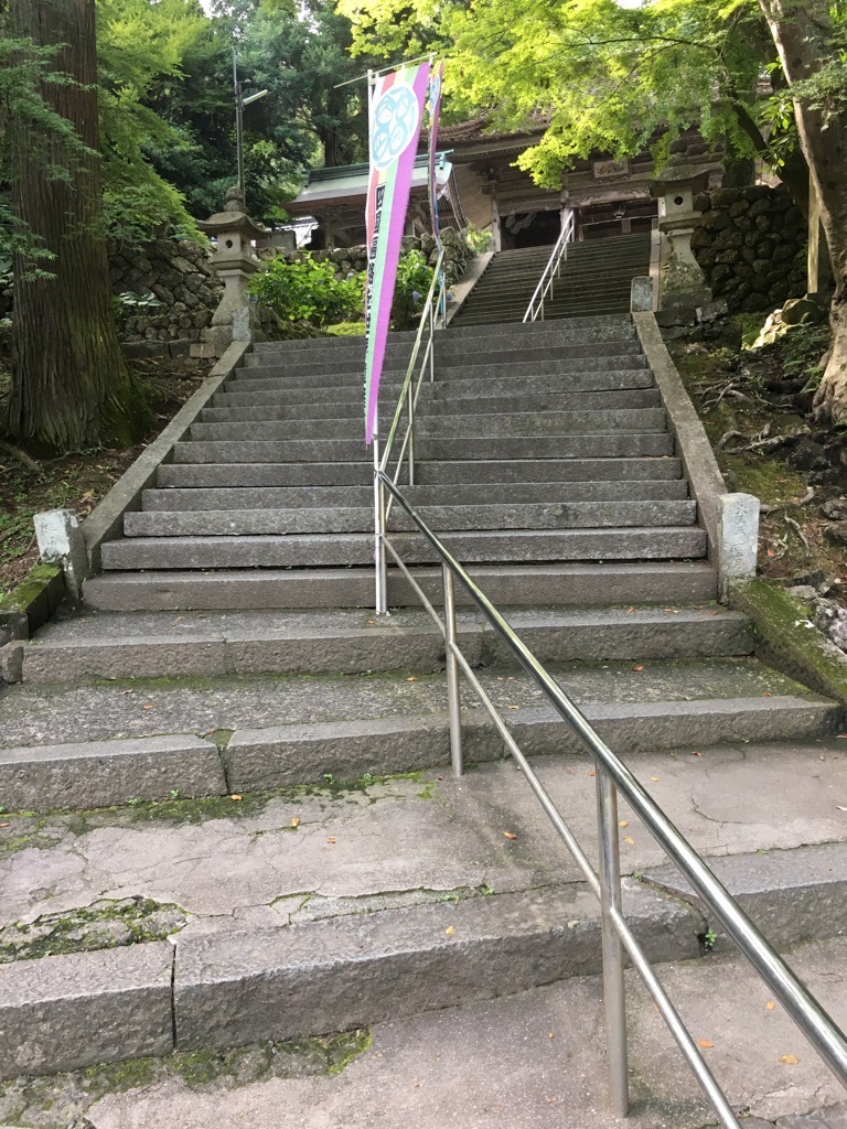IMG 7221