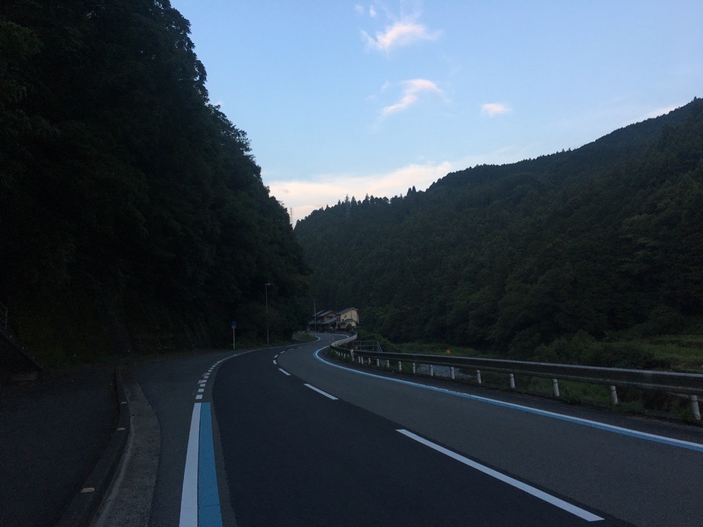IMG 7250