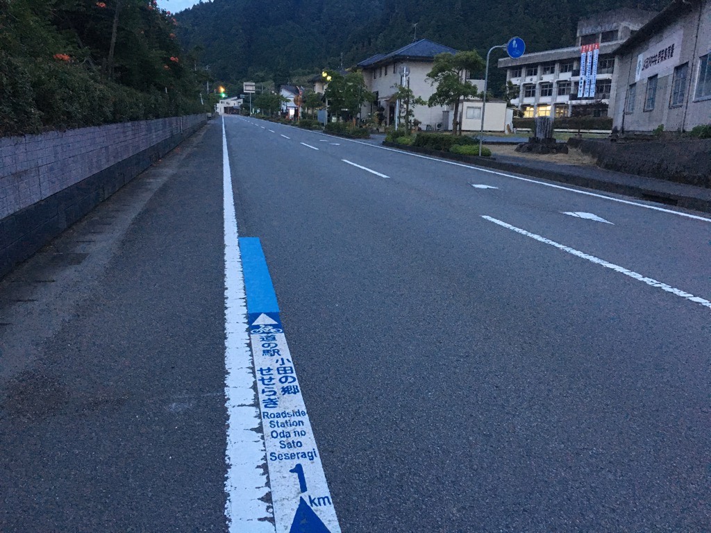IMG 7258