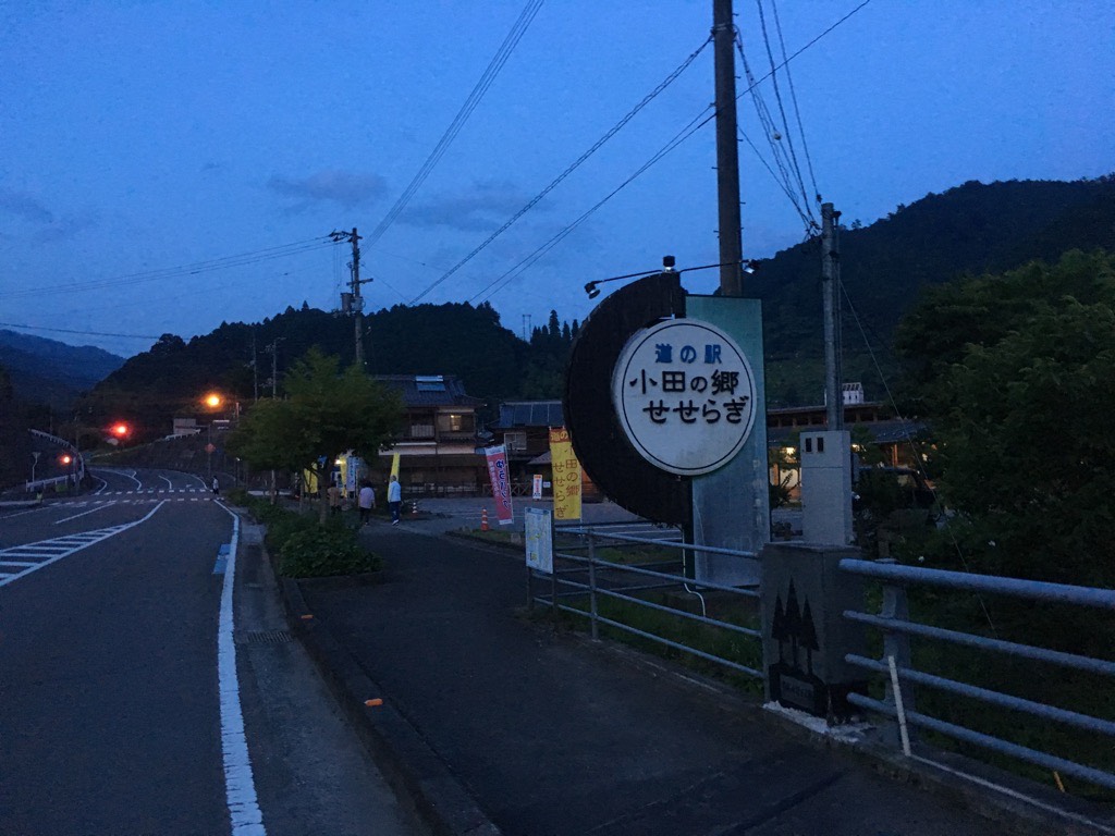 IMG 7259