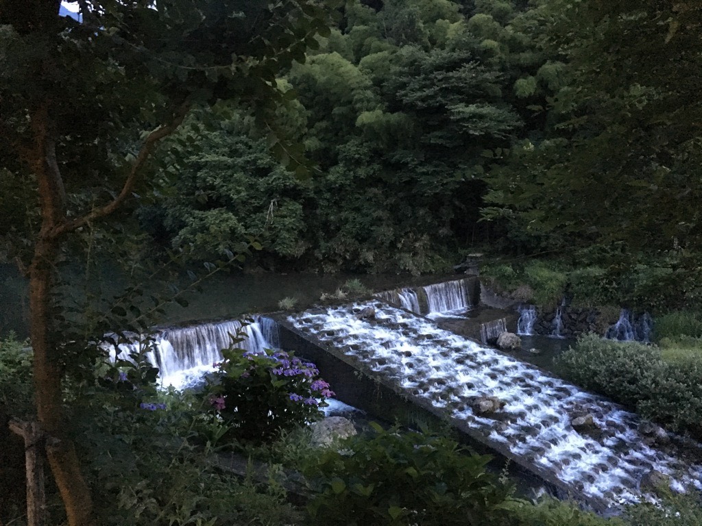 IMG 7263