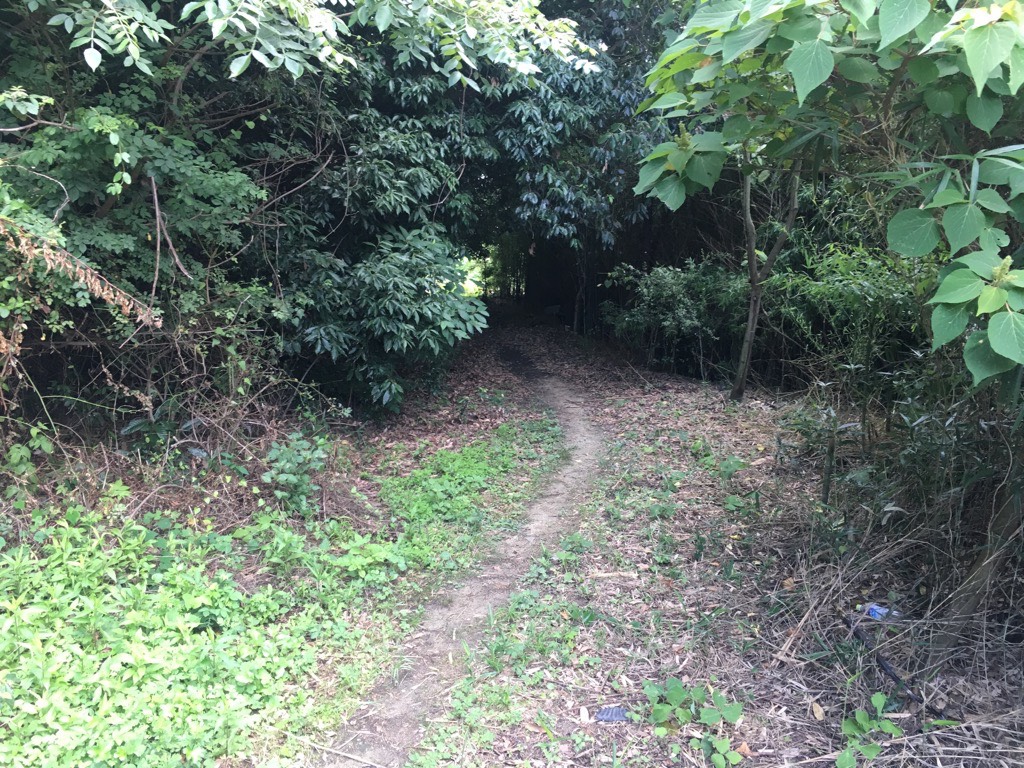 IMG 7475