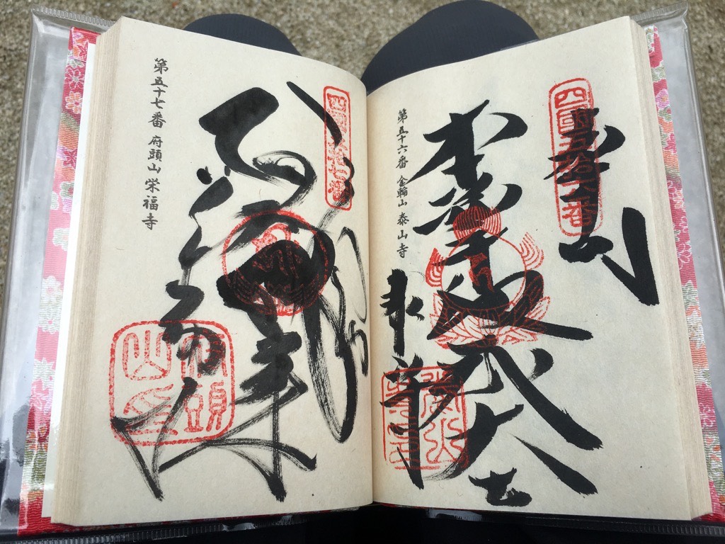 IMG 7534