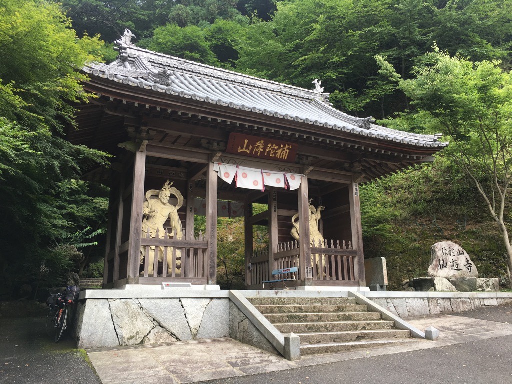IMG 7538
