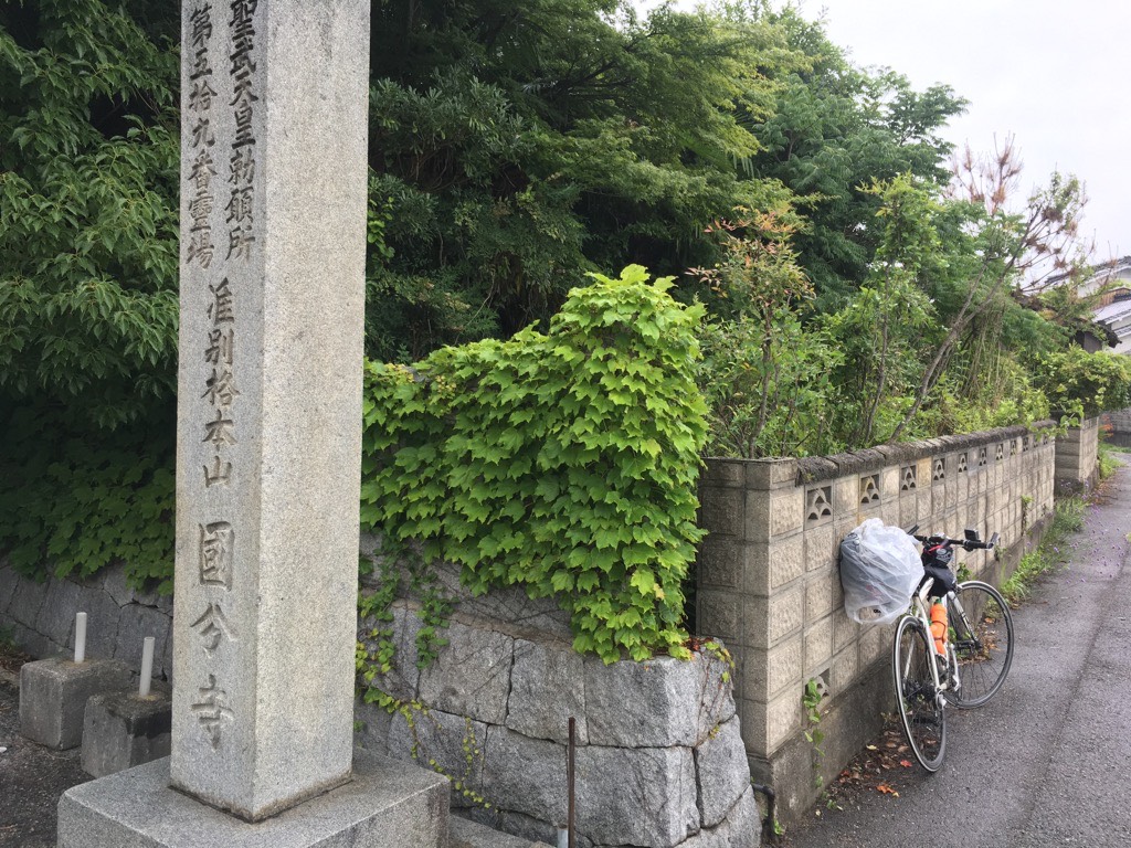 IMG 7572