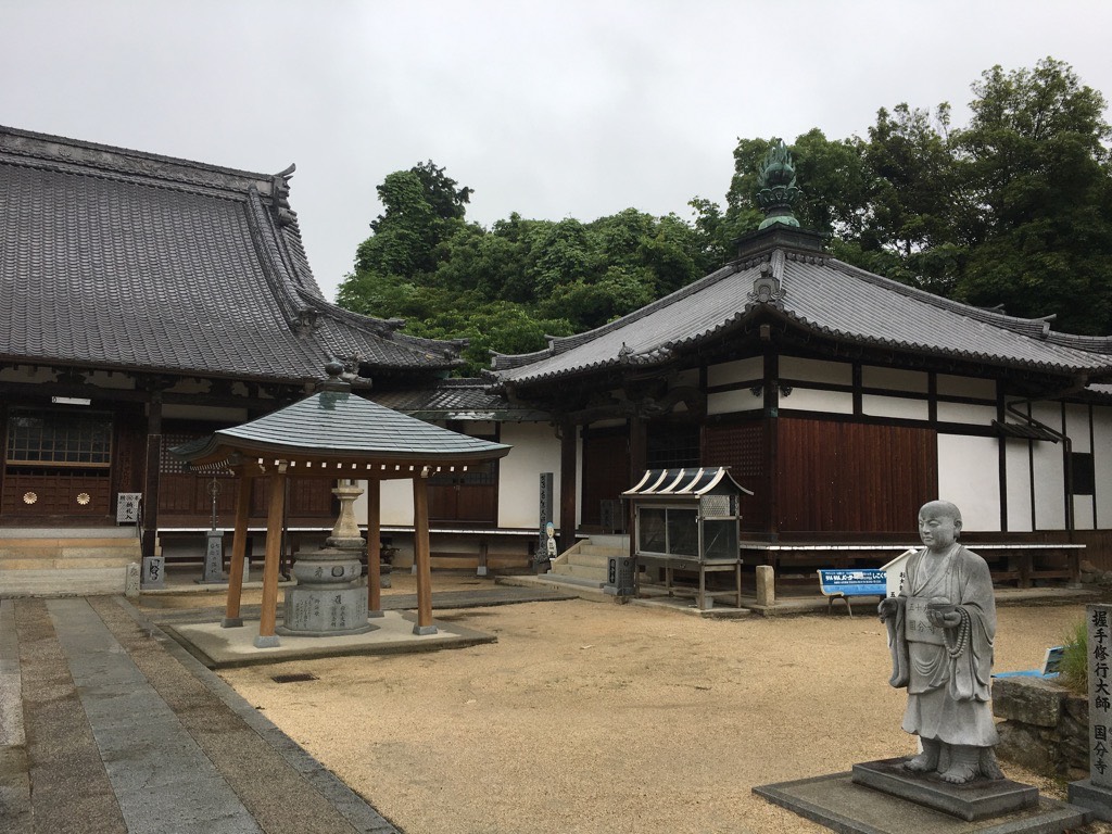 IMG 7575