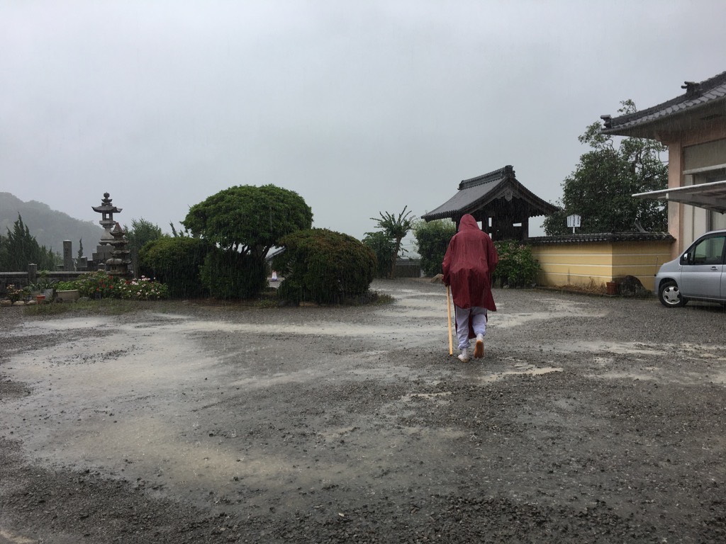 IMG 7585