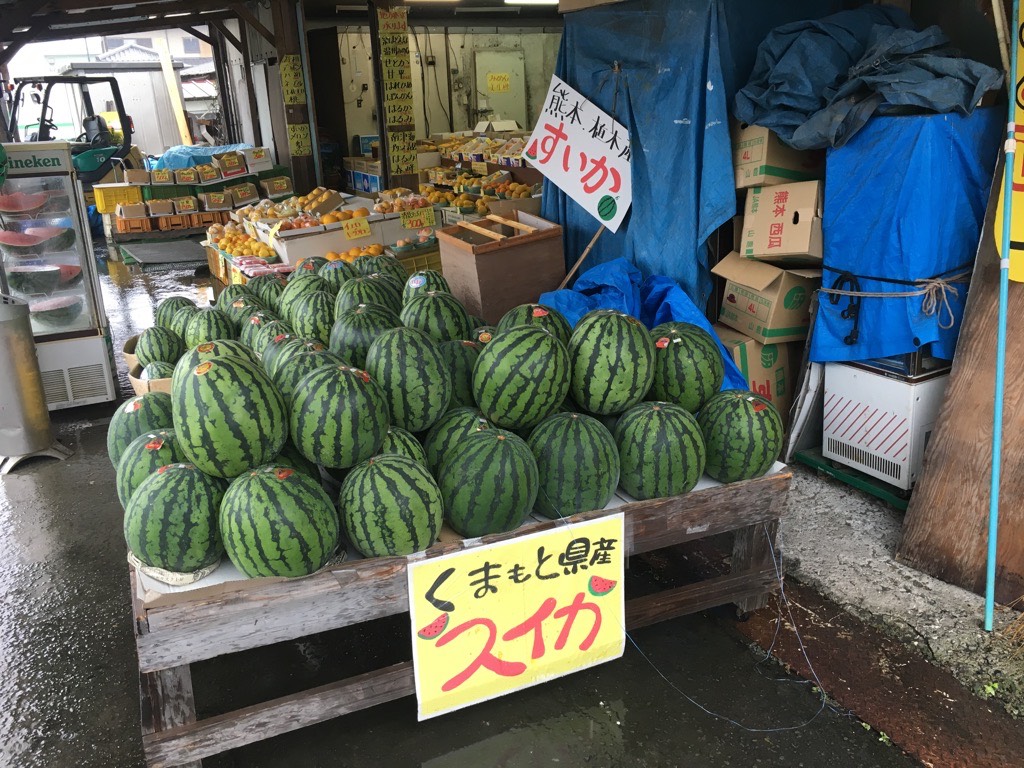 IMG 7587