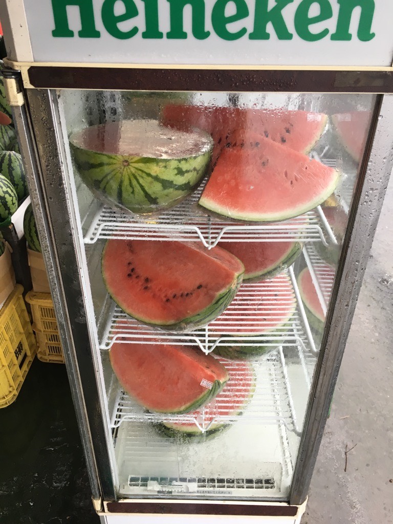 IMG 7588