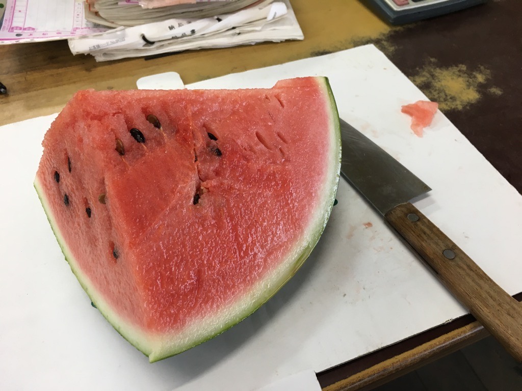 IMG 7594