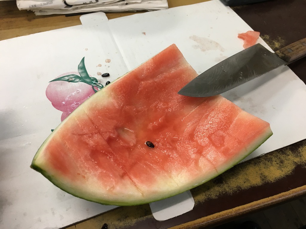 IMG 7596