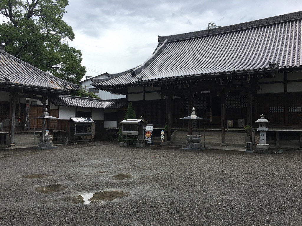 IMG 7622