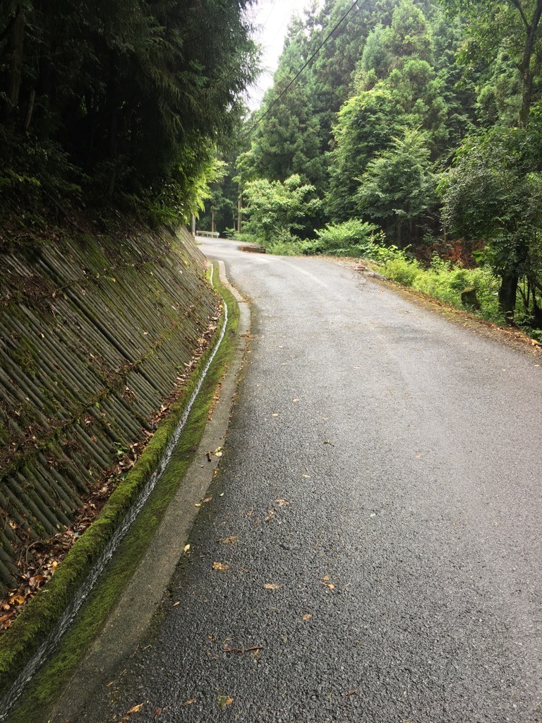 IMG 7647