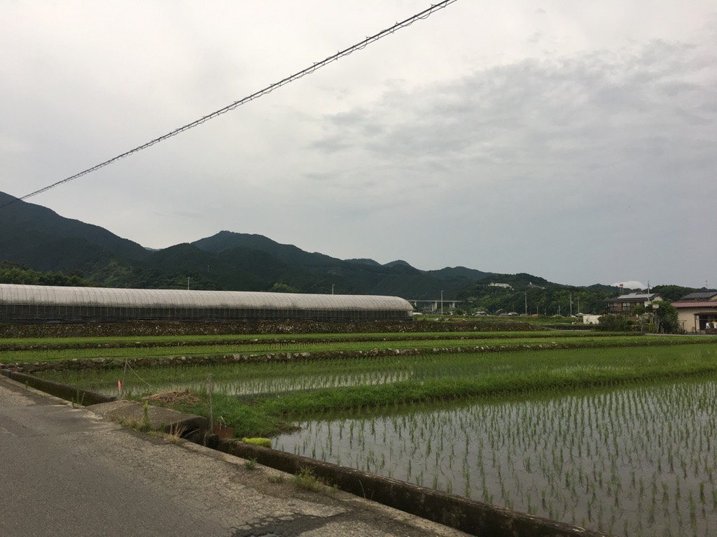 IMG 7693