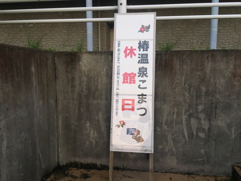 IMG 7698