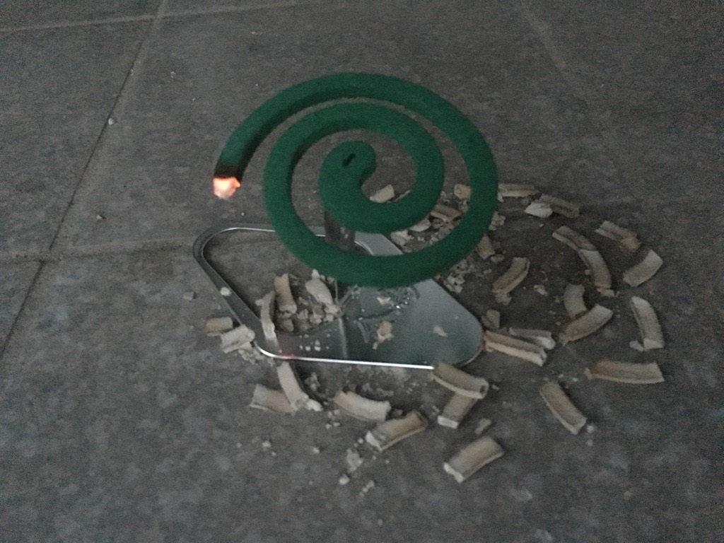 IMG 7939