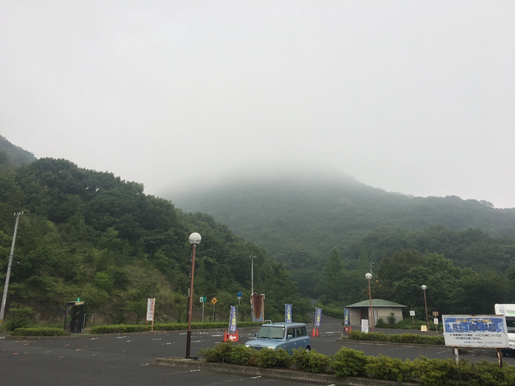 IMG 7943