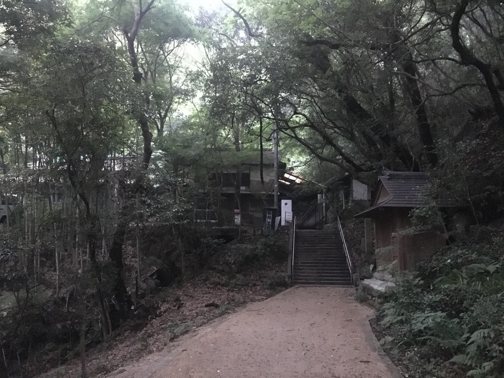 IMG 7954