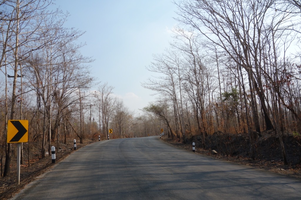 DSC00217