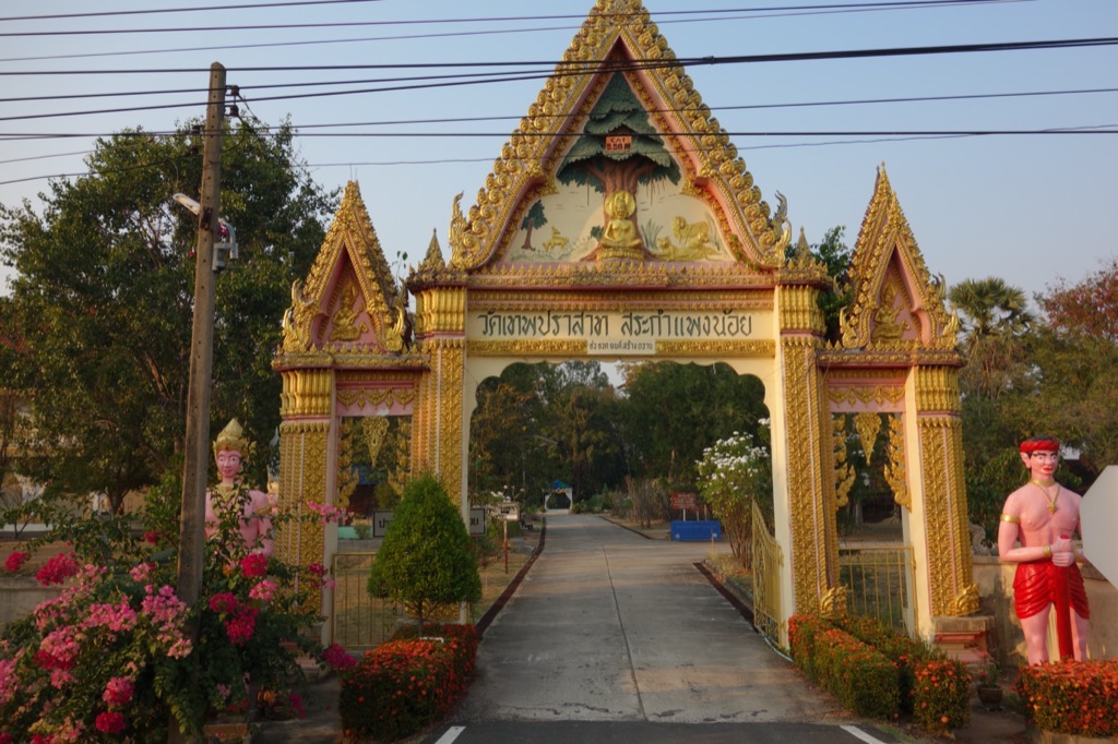 DSC00717