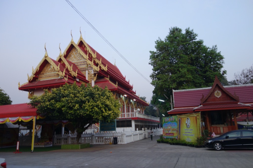 DSC00730