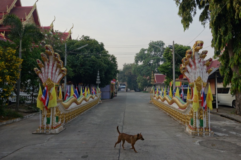 DSC00747