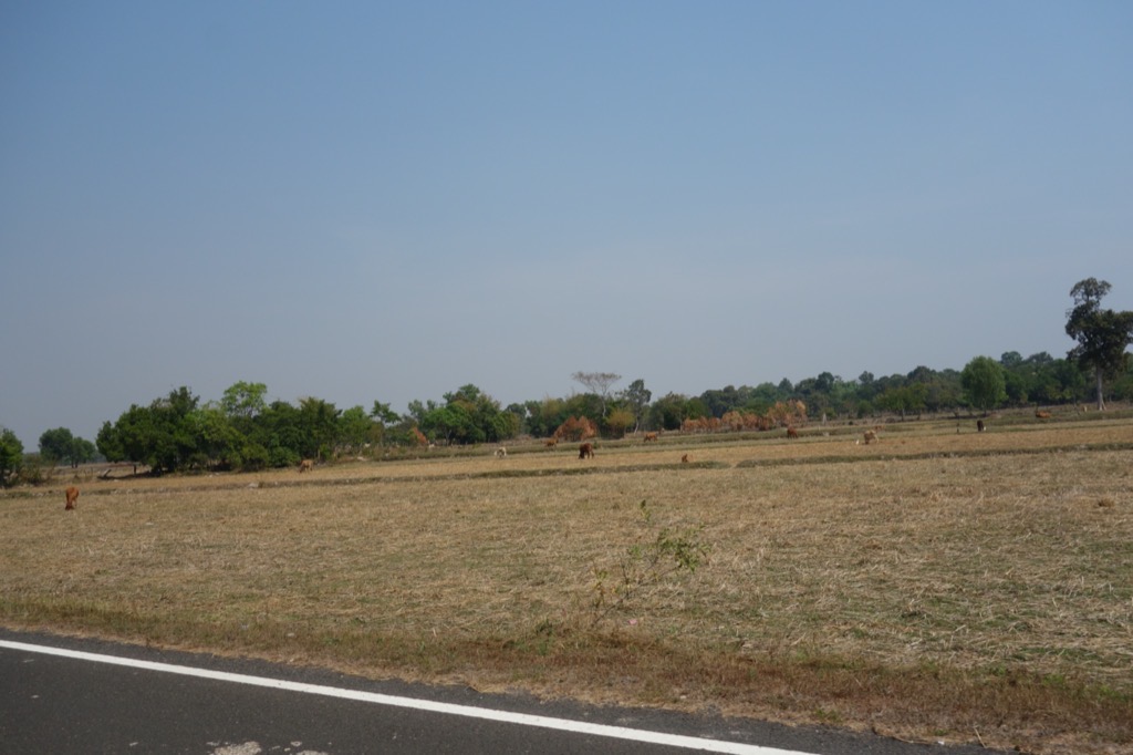 DSC00808