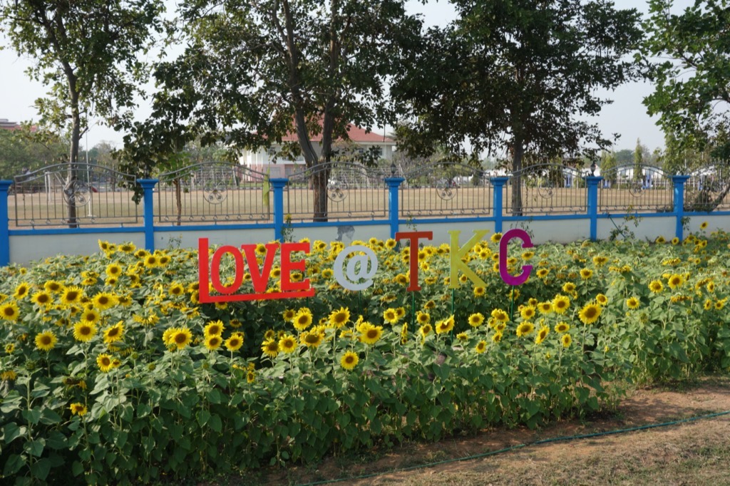 DSC00822