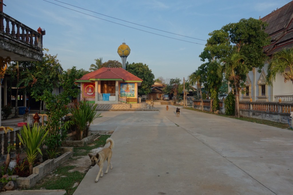 DSC01026