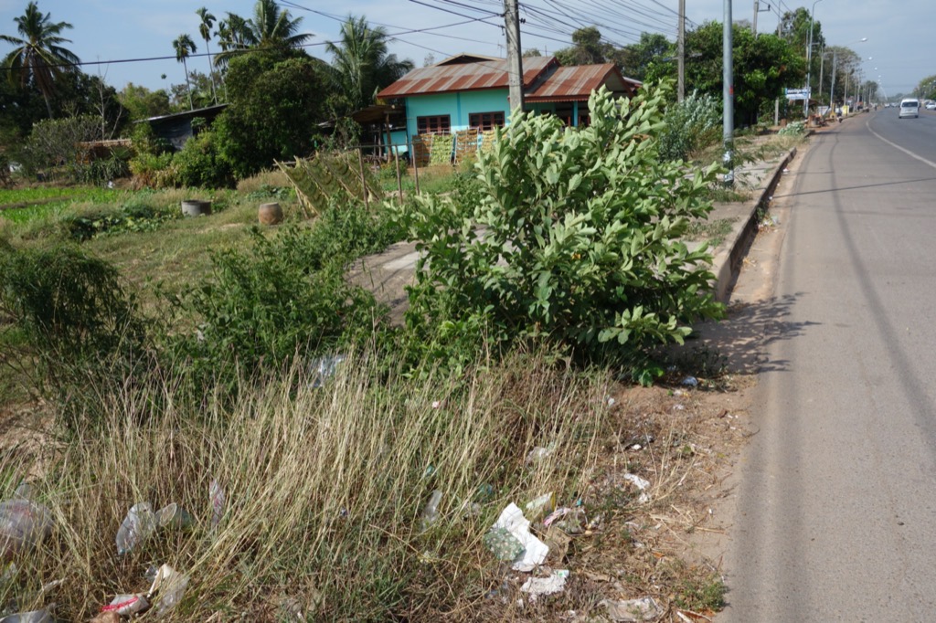 DSC01095