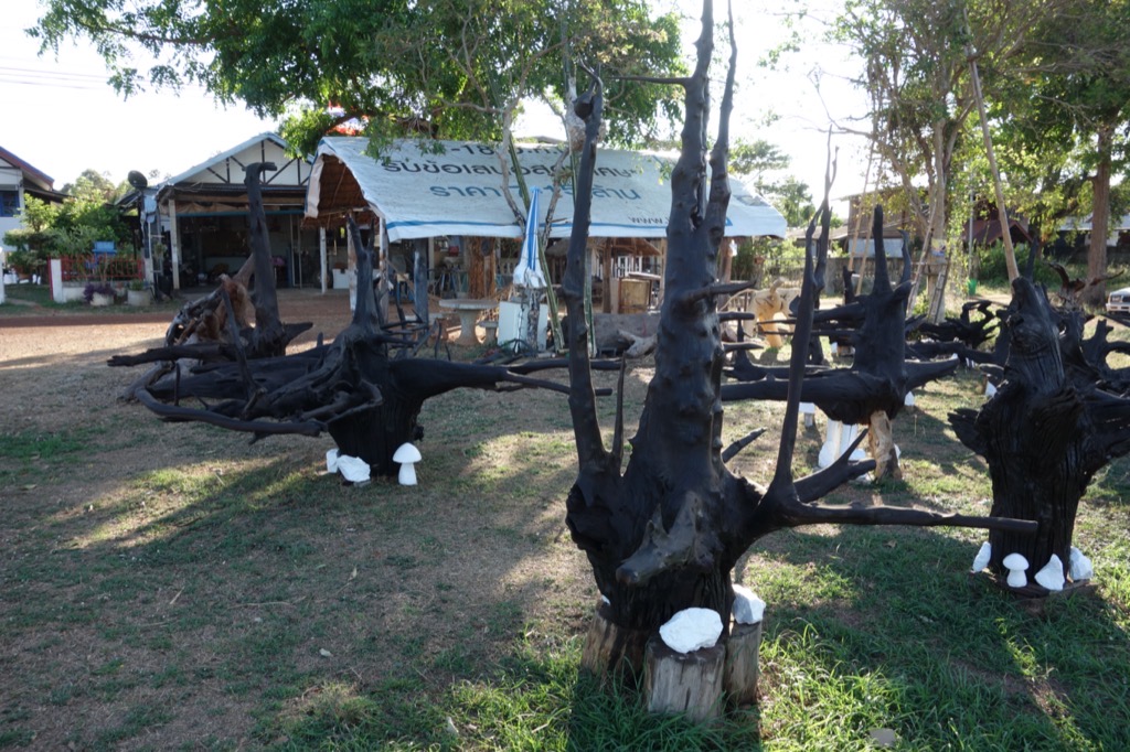 DSC01136
