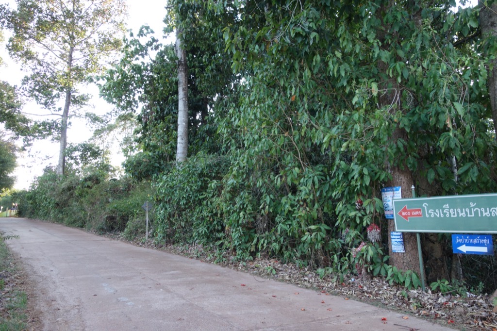 DSC01142
