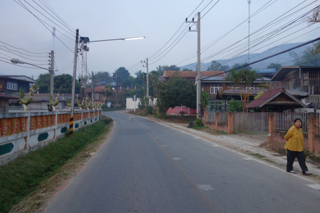 DSC01484