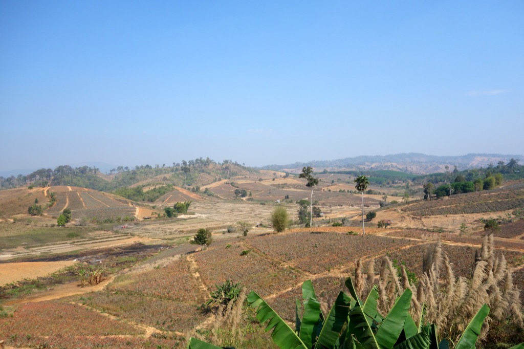 DSC01523