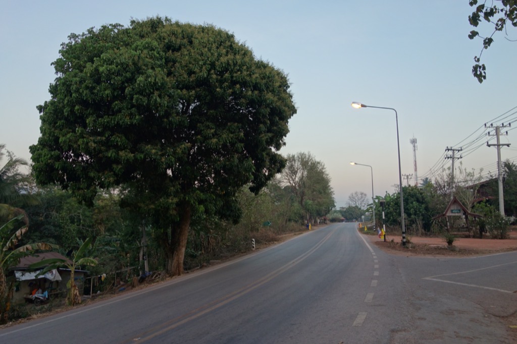 DSC01625
