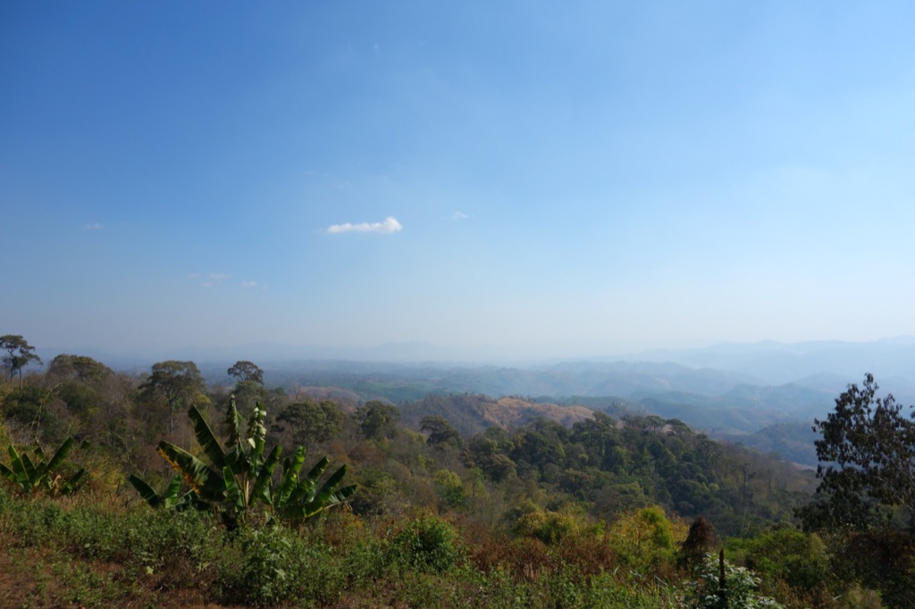 DSC01677