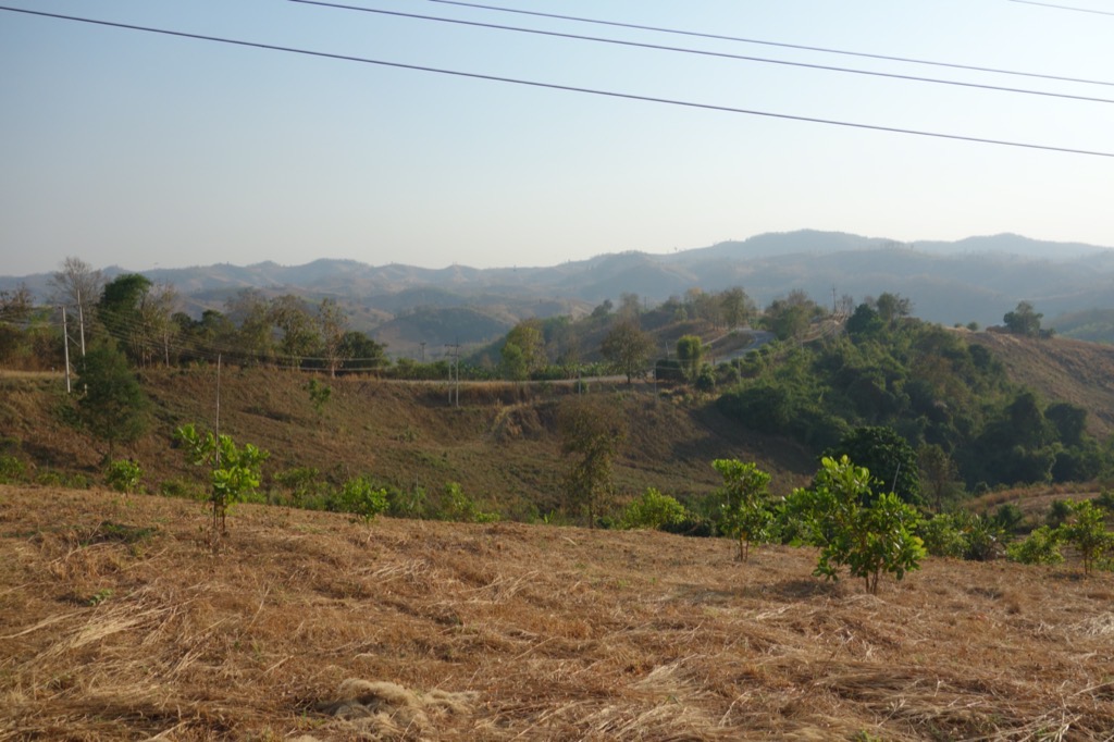DSC01770