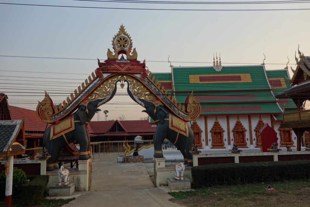 DSC01919