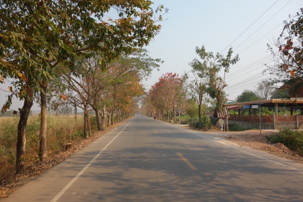 DSC01982