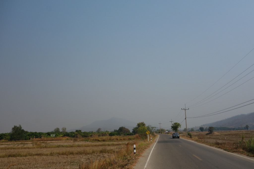 DSC01995