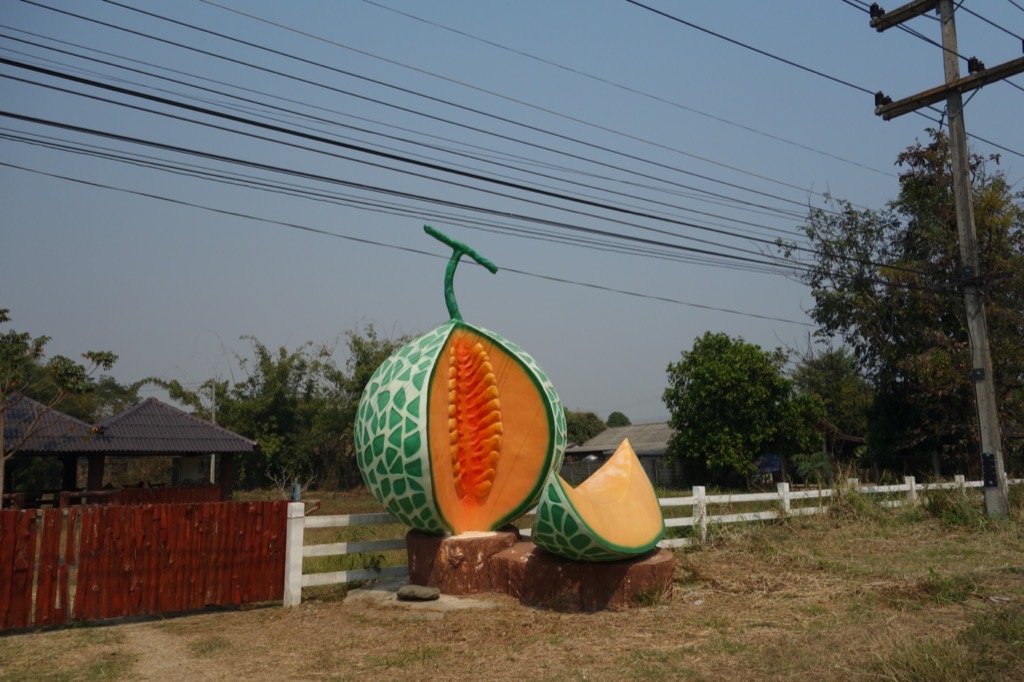 DSC02015